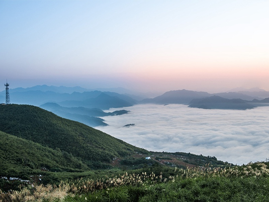 雲台茶旅